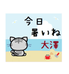 大澤ねこ（個別スタンプ：14）