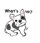 動物がいっぱい 2（個別スタンプ：1）