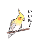 動物がいっぱい 2（個別スタンプ：2）