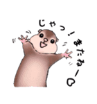 動物がいっぱい 2（個別スタンプ：4）