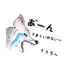 動物がいっぱい 2（個別スタンプ：13）