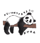 動物がいっぱい 2（個別スタンプ：16）