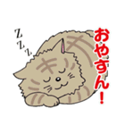Hoppo！（個別スタンプ：40）