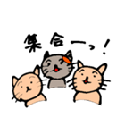 abcdwwww（個別スタンプ：4）