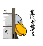 ハシビロ侍（個別スタンプ：37）