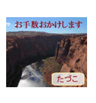 たづこ専用 セドナの景色バージョン（個別スタンプ：11）