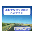 たづこ専用 セドナの景色バージョン（個別スタンプ：21）