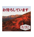 たづこ専用 セドナの景色バージョン（個別スタンプ：23）