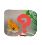 可愛いピアたん（個別スタンプ：3）