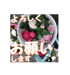 薔薇の花♡アソート8_挨拶メッセージ（個別スタンプ：2）