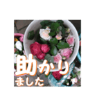 薔薇の花♡アソート8_挨拶メッセージ（個別スタンプ：16）