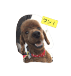圭＆ネオ 1（個別スタンプ：1）
