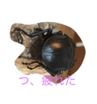 リアル！オオクワガタ（個別スタンプ：7）