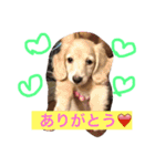 サラちゃんのハッピーライフ（個別スタンプ：2）