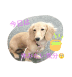 サラちゃんのハッピーライフ（個別スタンプ：3）