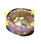 サラちゃんのハッピーライフ（個別スタンプ：4）