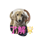 サラちゃんのハッピーライフ（個別スタンプ：5）
