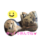 サラちゃんのハッピーライフ（個別スタンプ：7）