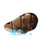 サラちゃんのハッピーライフ（個別スタンプ：8）