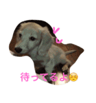 サラちゃんのハッピーライフ（個別スタンプ：13）