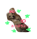 サラちゃんのハッピーライフ（個別スタンプ：16）