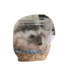 ハリネズミのフォーチュン君スタンプ（個別スタンプ：8）