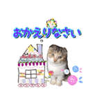 三毛猫ももちゃん9（個別スタンプ：4）