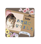 三毛猫ももちゃん9（個別スタンプ：26）