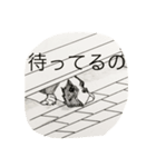 素敵なあなた2（個別スタンプ：1）