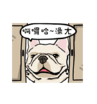 Comedian French Bulldog BUBU（個別スタンプ：3）