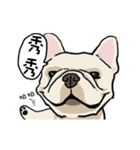 Comedian French Bulldog BUBU（個別スタンプ：5）