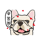 Comedian French Bulldog BUBU（個別スタンプ：6）