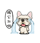 Comedian French Bulldog BUBU（個別スタンプ：9）