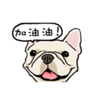 Comedian French Bulldog BUBU（個別スタンプ：10）