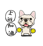 Comedian French Bulldog BUBU（個別スタンプ：11）