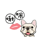 Comedian French Bulldog BUBU（個別スタンプ：13）