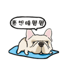 Comedian French Bulldog BUBU（個別スタンプ：14）