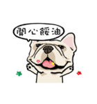 Comedian French Bulldog BUBU（個別スタンプ：15）