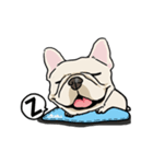 Comedian French Bulldog BUBU（個別スタンプ：16）