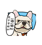 Comedian French Bulldog BUBU（個別スタンプ：17）