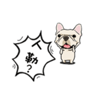 Comedian French Bulldog BUBU（個別スタンプ：21）