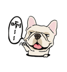 Comedian French Bulldog BUBU（個別スタンプ：24）