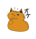 2匹のキジトラ（個別スタンプ：7）