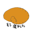 2匹のキジトラ（個別スタンプ：11）