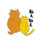 2匹のキジトラ（個別スタンプ：12）