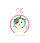 Watermelon cat（個別スタンプ：1）