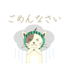 Watermelon cat（個別スタンプ：4）