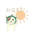 Watermelon cat（個別スタンプ：5）