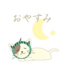Watermelon cat（個別スタンプ：6）