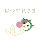 Watermelon cat（個別スタンプ：7）